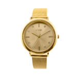 Γυναικείο Ρολόι Loisir Polish Χρυσό με Ατσάλινο Mesh Band